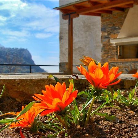 Volos View Residence Makrinítsa Dış mekan fotoğraf