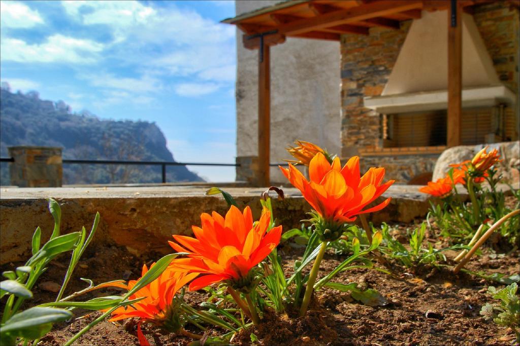 Volos View Residence Makrinítsa Dış mekan fotoğraf